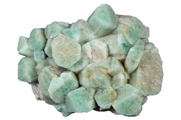 Amazonite Crystal Cluster - Colorado #314757